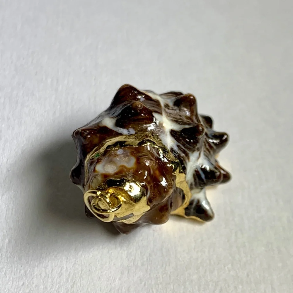 ⭐️ Gold Plated Shell ⭐️ - Picture 6 of 8